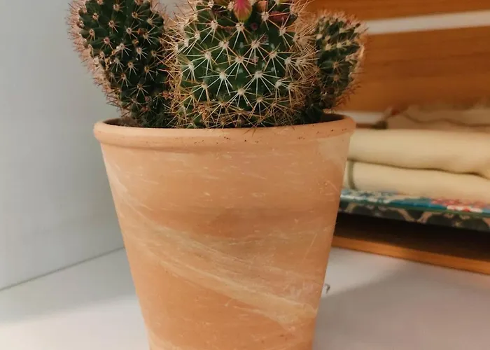 Estudio El Santo 2 Appartement *