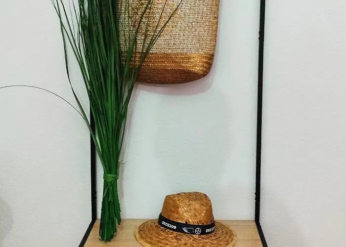 Estudio El Santo 2 *